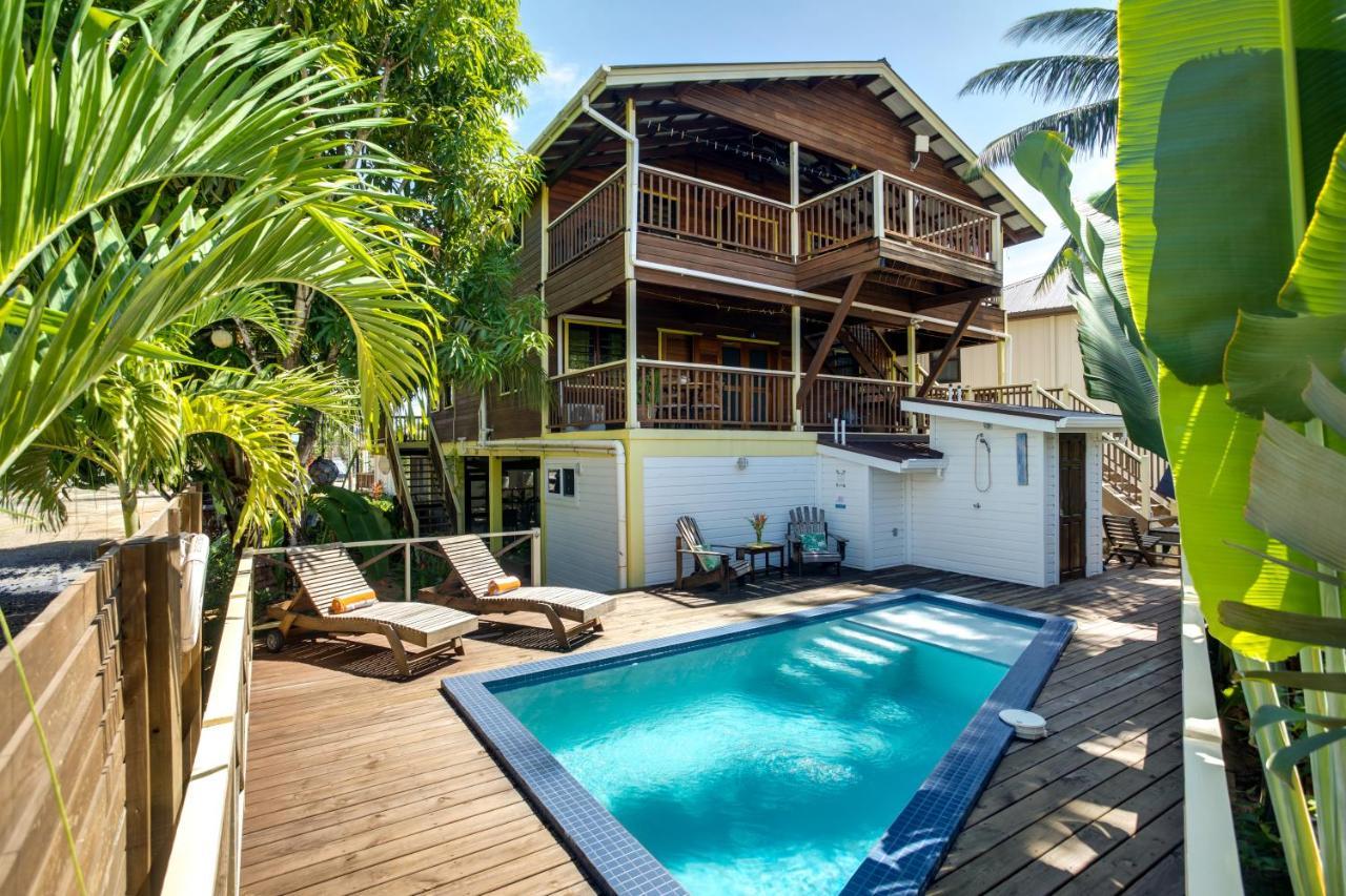 Driftwood Gardens Guesthouse Placencia Екстер'єр фото