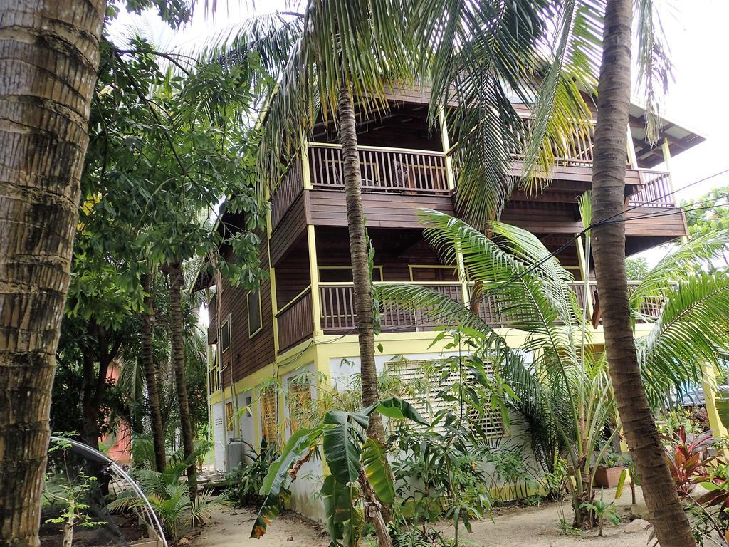 Driftwood Gardens Guesthouse Placencia Екстер'єр фото